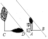 360优课网