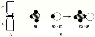 360优课网