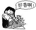 360优课网