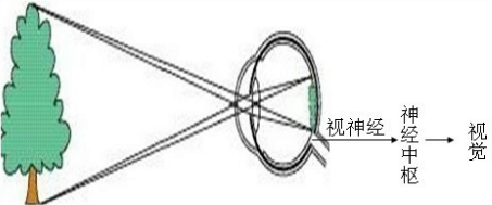 360优课网