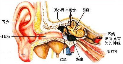 360优课网
