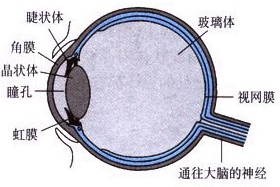 360优课网