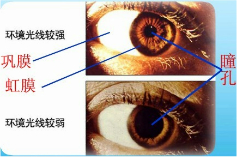 360优课网