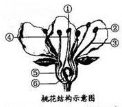 360优课网