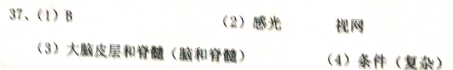 360优课网