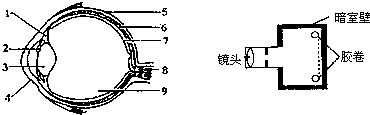 360优课网