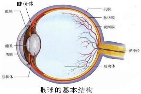 360优课网