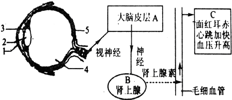 360优课网