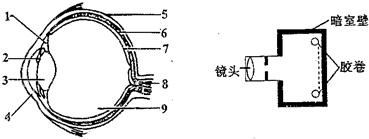 360优课网