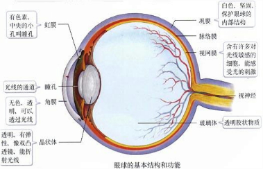 360优课网