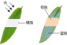 360优课网
