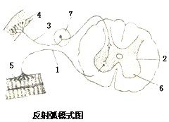 360优课网