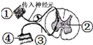 360优课网