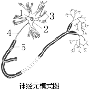 360优课网