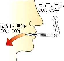 360优课网