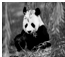360优课网
