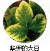 360优课网
