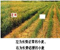 360优课网
