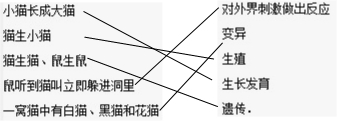 360优课网