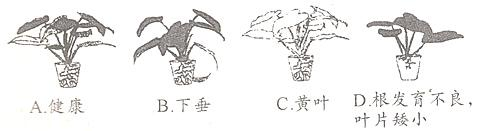360优课网
