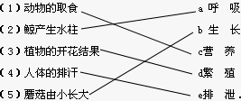 360优课网
