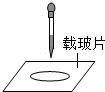 360优课网