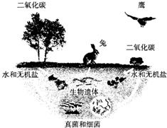 360优课网