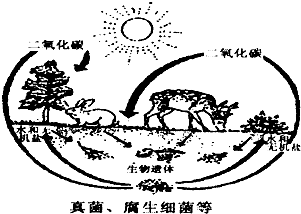 360优课网