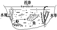 360优课网
