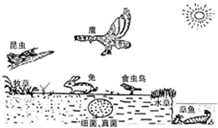 360优课网