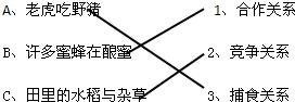360优课网
