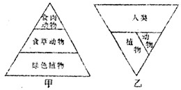 360优课网