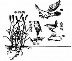360优课网