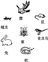 360优课网