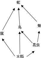 360优课网