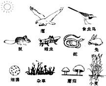 360优课网