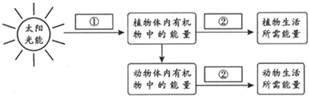 360优课网