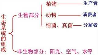360优课网