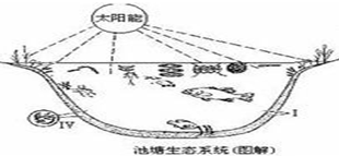 360优课网
