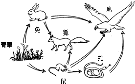 360优课网