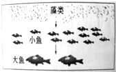 360优课网