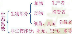 360优课网