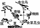 360优课网