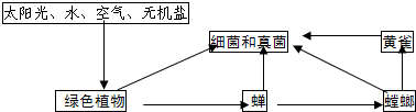 360优课网