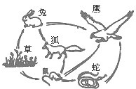 360优课网