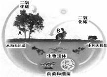 360优课网