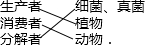 360优课网