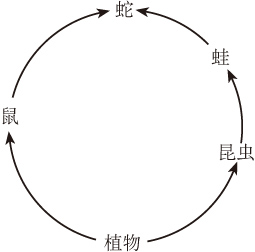 360优课网