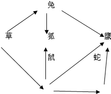 360优课网
