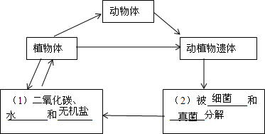 360优课网
